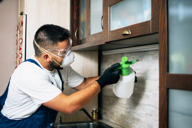 Best Pest Prevention Services  in Suncrest, WA