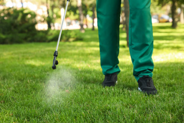 Best Flea Control Services  in Suncrest, WA