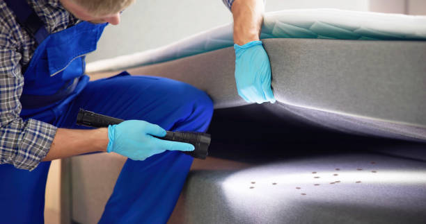 Wasp Removal Services in Suncrest, WA