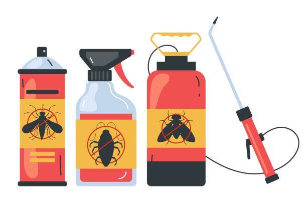 Best Affordable Pest Control Services  in Suncrest, WA