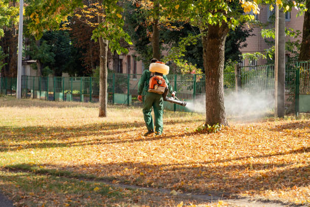 Best Wasp Removal Services  in Suncrest, WA