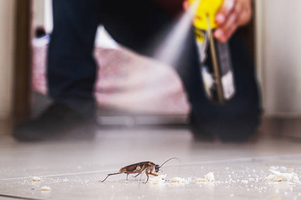 Best Flea Control Services  in Suncrest, WA