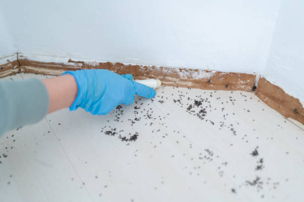 Pest Control Cost in Suncrest, WA