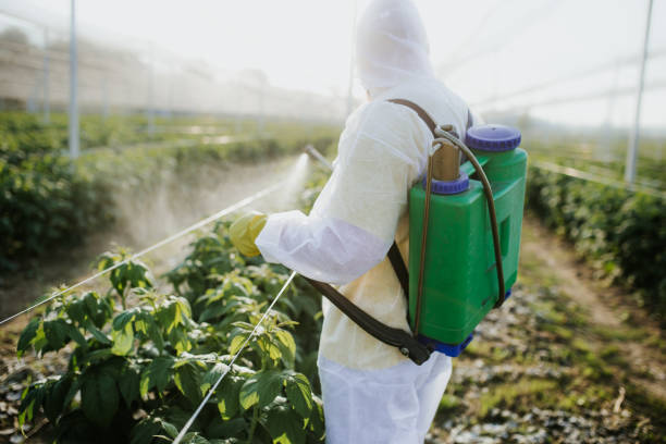 Best Pest Inspection Near Me  in Suncrest, WA